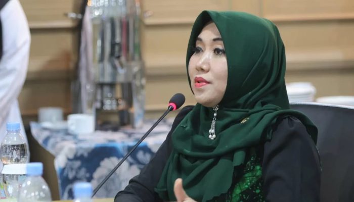 Penipuan Belanja Online Melonjak, DPD RI Lia Istifhama Tekankan Urgensi Revisi UU Perlindungan Konsumen