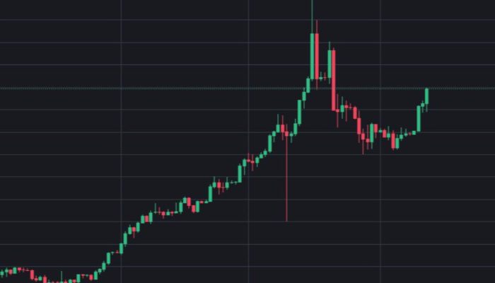 IMF dan Bank Dunia Puji Ketahanan Ekonomi Indonesia Berkat Kebijakan Fiskal 2025