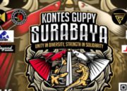 Surabaya Gelar Kontes Guppy 2026, Ratusan Peserta Nasional Siap Adu Kualitas