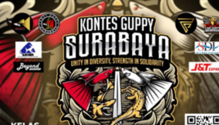 Surabaya Gelar Kontes Guppy 2026, Ratusan Peserta Nasional Siap Adu Kualitas