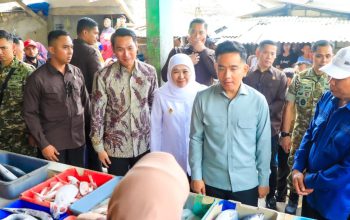 Gubernur Khofifah Dampingi Wapres Gibran Tinjau Pasar Gelondong Gede Tuban, Pastikan Stok Bahan Pokok Aman