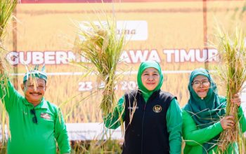 Gubernur Khofifah Minta Kepala Daerah Waspadai Kemarau 2026, Produksi Pertanian Harus Terjaga