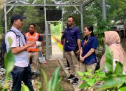 TTL dan BRIN Perkuat Ekosistem Pelabuhan, Fokus Konservasi dan Serapan Karbon