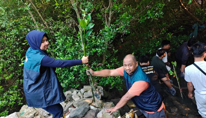 Ribuan Mangrove Ditaman di Sontoh Laut, TPS Dorong Kelestarian Lingkungan Pesisir