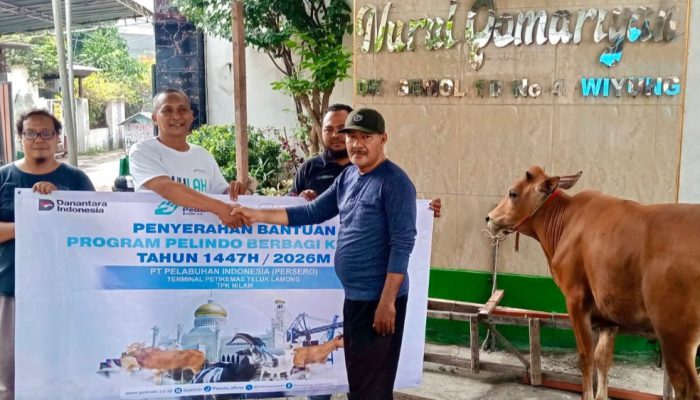 Pelindo Berbagi Kurban, PT Terminal Teluk Lamong Distribusikan 12 Sapi dan 21 Kambing