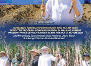 Gubernur Jawa Timur Genjot Produktivitas Tebu, Jatim Dapat Target 54.897 Hektare untuk Dukung Swasembada Gula