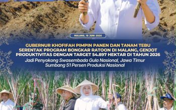 Gubernur Jawa Timur Genjot Produktivitas Tebu, Jatim Dapat Target 54.897 Hektare untuk Dukung Swasembada Gula