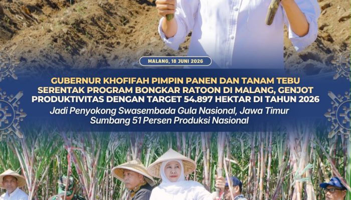 Gubernur Jawa Timur Genjot Produktivitas Tebu, Jatim Dapat Target 54.897 Hektare untuk Dukung Swasembada Gula