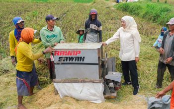 Jawa Timur Kembali Jadi Produsen Padi Terbesar Nasional, Gubernur Khofifah : Potensi Produksi Tembus 7,71 Juta Ton GKG