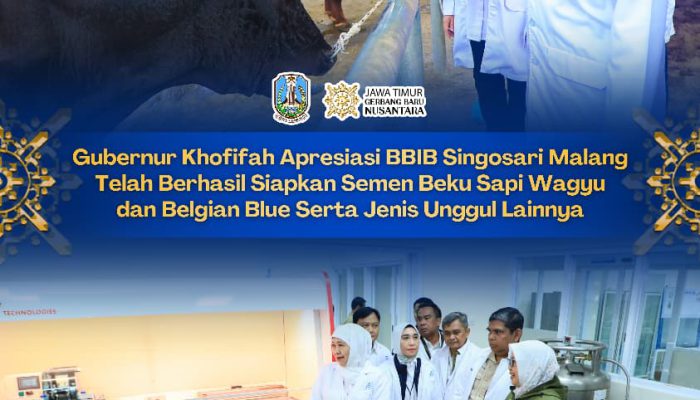 Gubernur  Khofifah: BBIB Singosari Jadi Pilar Penguatan Genetika Ternak Nasional
