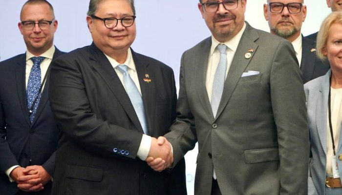 Jerman Perluas Investasi di Indonesia, Fokus Mineral Kritis dan Hilirisasi