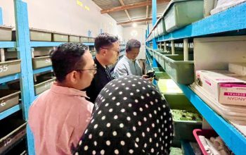 Pelindo Terminal Petikemas Percantik Sarana Publik, Warga Ring 1 Terminal Teluk Lamong Rasakan Manfaatnya