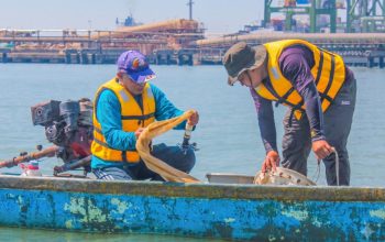 Terminal Teluk Lamong Gandeng BRIN, Riset Biota Laut untuk Dukung Green Port Berkelanjutan