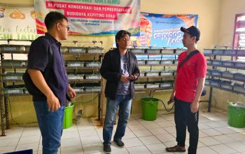 Program Budidaya Kepiting Soka Bawa PT Terminal Teluk Lamong Raih TJSL & CSR Awards 2026 Kategori Gold