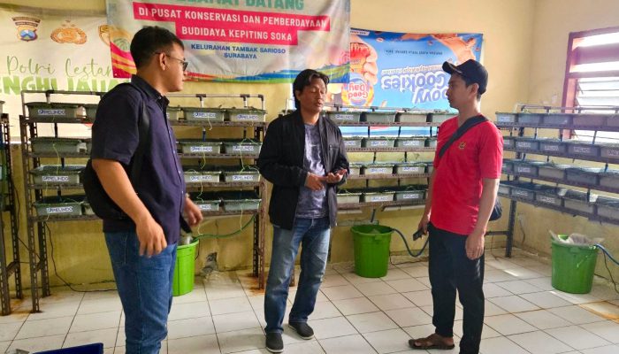 Program Budidaya Kepiting Soka Bawa PT Terminal Teluk Lamong Raih TJSL & CSR Awards 2026 Kategori Gold